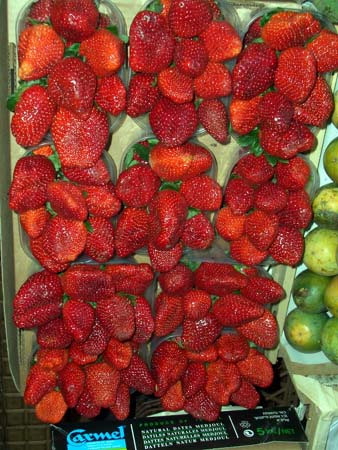 088Legumes
