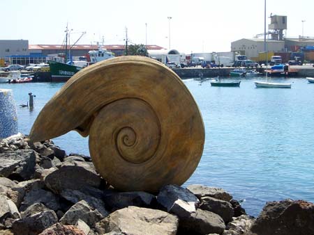 407FuerteVentura