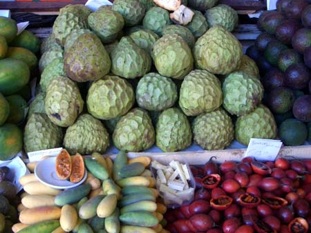 506Legumes