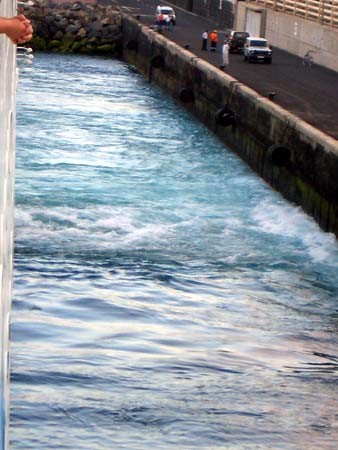 597Lanzarote