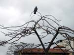 014cTeneriffa