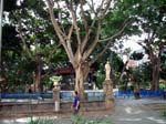 059Teneriffa