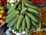 476Legumes