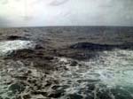 530Ocean