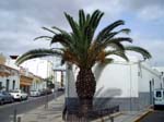 592Lanzarote