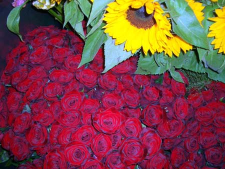 562Blumen