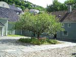 128Bergen