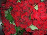 133Blumen