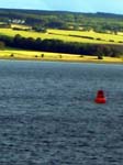 660Invergordon