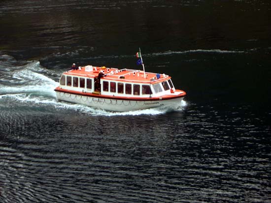419Tender