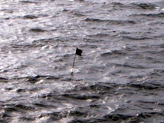 457Ocean