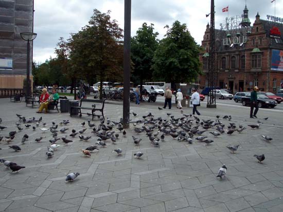 817Kopenhagen