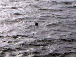 457Ocean