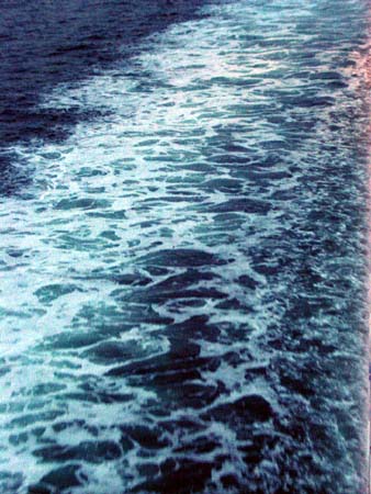 224Ocean