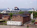 175Oslo