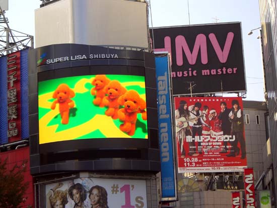 086Shibuya005