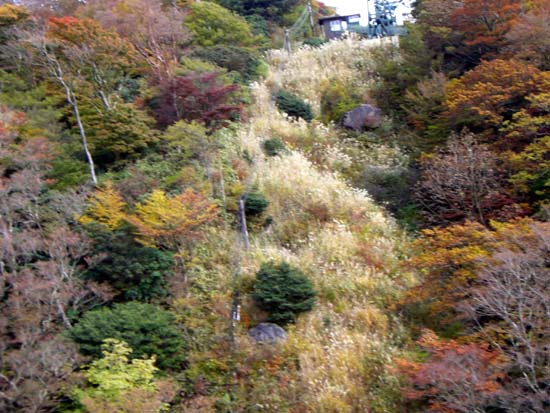 169Hakone066