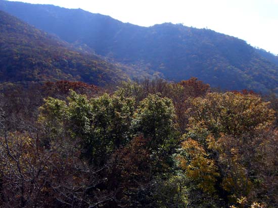 171Hakone068
