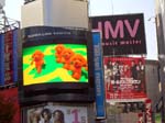 086Shibuya005