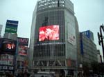107Shibuya081