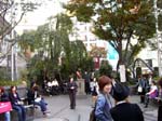 108Shibuya002