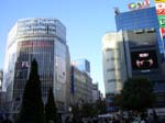 109Shibuya001