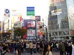 110Shibuya003