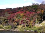 162Hakone046