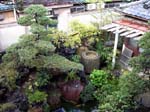 238Ueno002