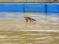 Finale2007-071