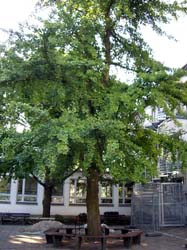 Sieger2008A-005