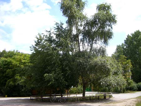 Sieger2008B-036