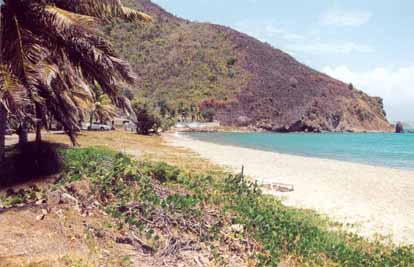 Kitts13