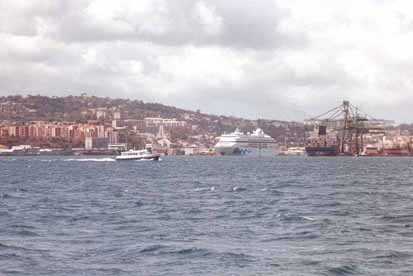 Marti11