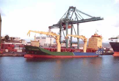Marti14