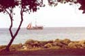Barbados19