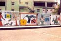Kitts21