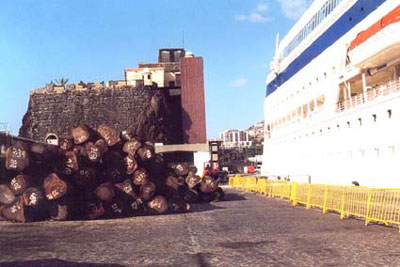 212holz