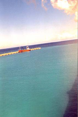 226morningbarbados02