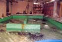 256lobsterpool