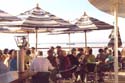 309calypsobar